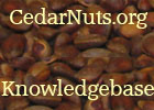Cedar Nuts Resources